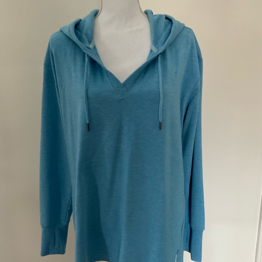 Black Dog hooded sweatshirt, Size L, aqua.